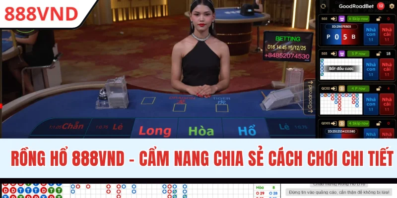Rồng Hổ 888VND - Cẩm Nang Cách Chơi Cho Người Mới 2026